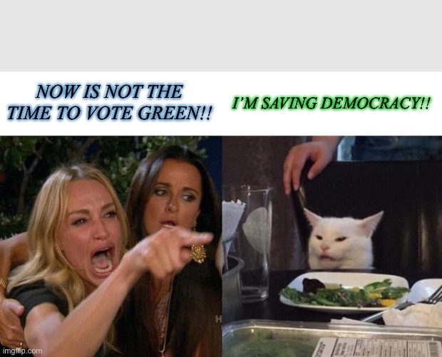 Green Party | NOW IS NOT THE TIME TO VOTE GREEN!! I’M SAVING DEMOCRACY!! | image tagged in memes,woman yelling at cat | made w/ Imgflip meme maker