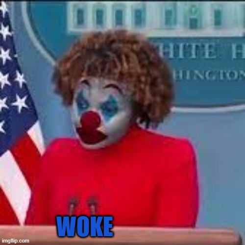 WOKE IS A JOKE | WOKE | image tagged in woke,cancel culture,leftists,progressive,liberal,communists | made w/ Imgflip meme maker