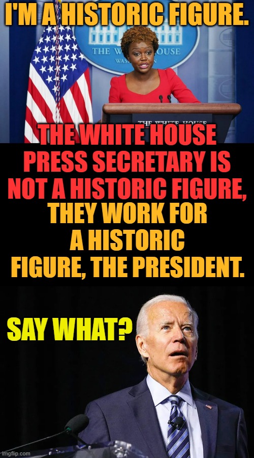 A Little Confused Maybe | I'M A HISTORIC FIGURE. THE WHITE HOUSE PRESS SECRETARY IS NOT A HISTORIC FIGURE, THEY WORK FOR A HISTORIC FIGURE, THE PRESIDENT. SAY WHAT? | image tagged in memes,politics,press secretary,president,historical,confusion | made w/ Imgflip meme maker