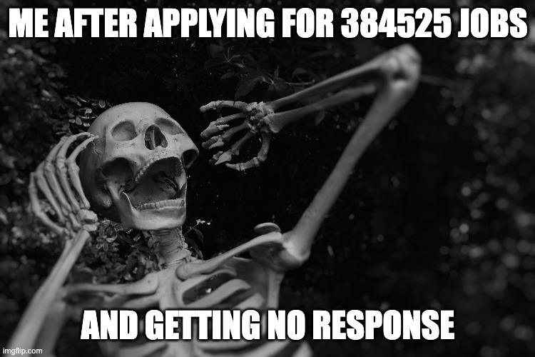 job seeking | ME AFTER APPLYING FOR 384525 JOBS; AND GETTING NO RESPONSE | image tagged in job,jobs,work | made w/ Imgflip meme maker