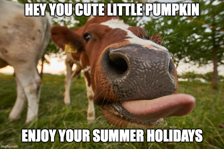 summer holidays | HEY YOU CUTE LITTLE PUMPKIN; ENJOY YOUR SUMMER HOLIDAYS | image tagged in job,jobs,work | made w/ Imgflip meme maker