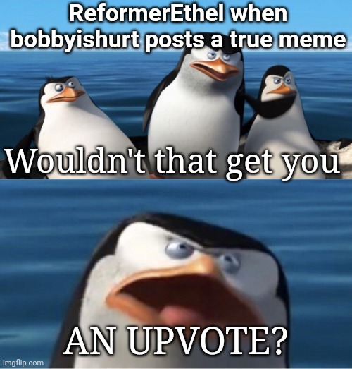 Wouldn't that make you | ReformerEthel when bobbyishurt posts a true meme AN UPVOTE? Wouldn't that get you | image tagged in wouldn't that make you | made w/ Imgflip meme maker