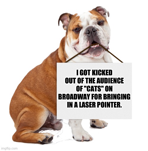 Cats | I GOT KICKED OUT OF THE AUDIENCE OF "CATS" ON BROADWAY FOR BRINGING IN A LASER POINTER. | image tagged in bulldog holding blank sign | made w/ Imgflip meme maker