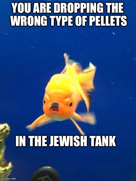 YOU ARE DROPPING THE WRONG TYPE OF PELLETS IN THE JEWISH TANK | made w/ Imgflip meme maker