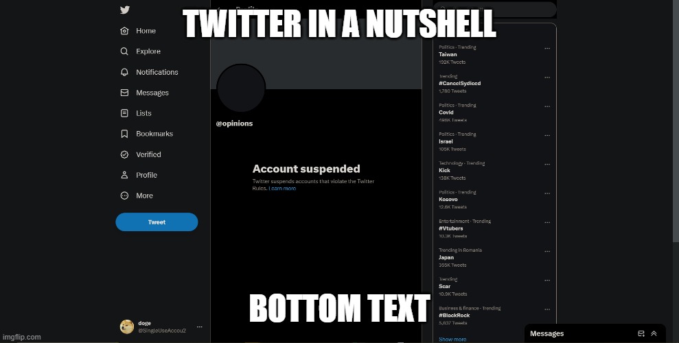Twitter in a nutshell | TWITTER IN A NUTSHELL; BOTTOM TEXT | image tagged in twitter in a nutshell | made w/ Imgflip meme maker