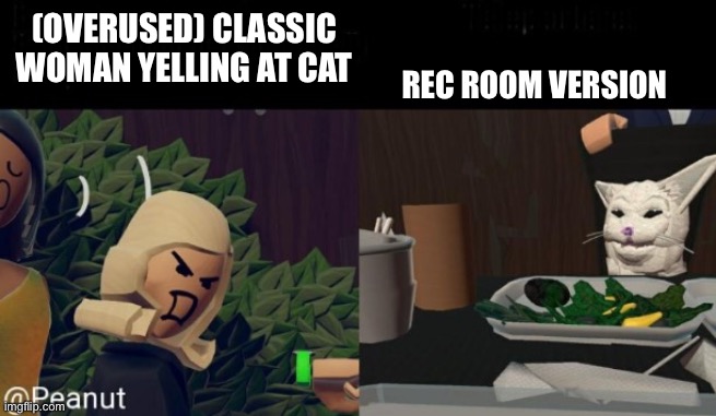 rec room woman yelling at cat | REC ROOM VERSION; (OVERUSED) CLASSIC WOMAN YELLING AT CAT | image tagged in rec room woman yelling at cat | made w/ Imgflip meme maker