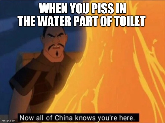 Tried at 3 am | WHEN YOU PISS IN THE WATER PART OF TOILET | image tagged in now all of china knows you're here | made w/ Imgflip meme maker