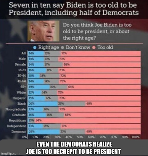 Democrats Ditching Dithering Dictator. | EVEN THE DEMOCRATS REALIZE
JOE IS TOO DECREPIT TO BE PRESIDENT | image tagged in memes,creepy joe biden,old age,democrats,polls,political meme | made w/ Imgflip meme maker
