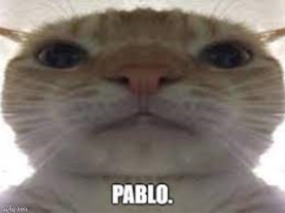 Pablo | image tagged in pablo | made w/ Imgflip meme maker