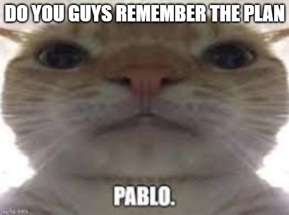 Pablo | DO YOU GUYS REMEMBER THE PLAN | image tagged in pablo | made w/ Imgflip meme maker