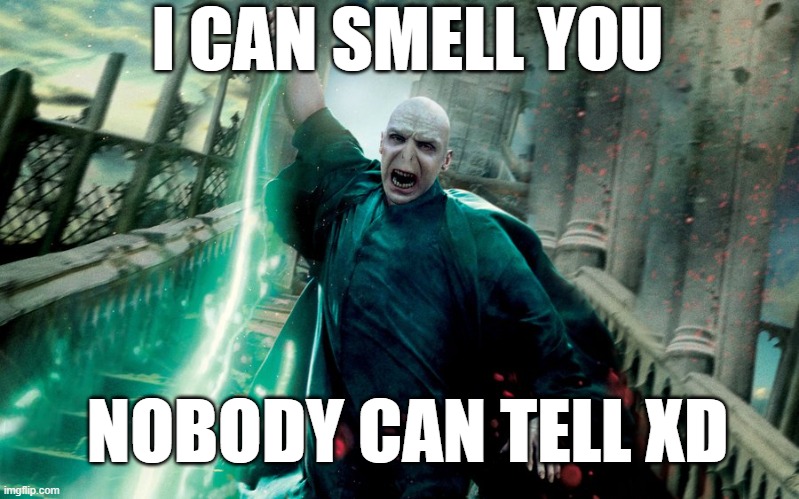 Voldemort cut off his nose :D | I CAN SMELL YOU; NOBODY CAN TELL XD | image tagged in voldemort avada kedavra | made w/ Imgflip meme maker