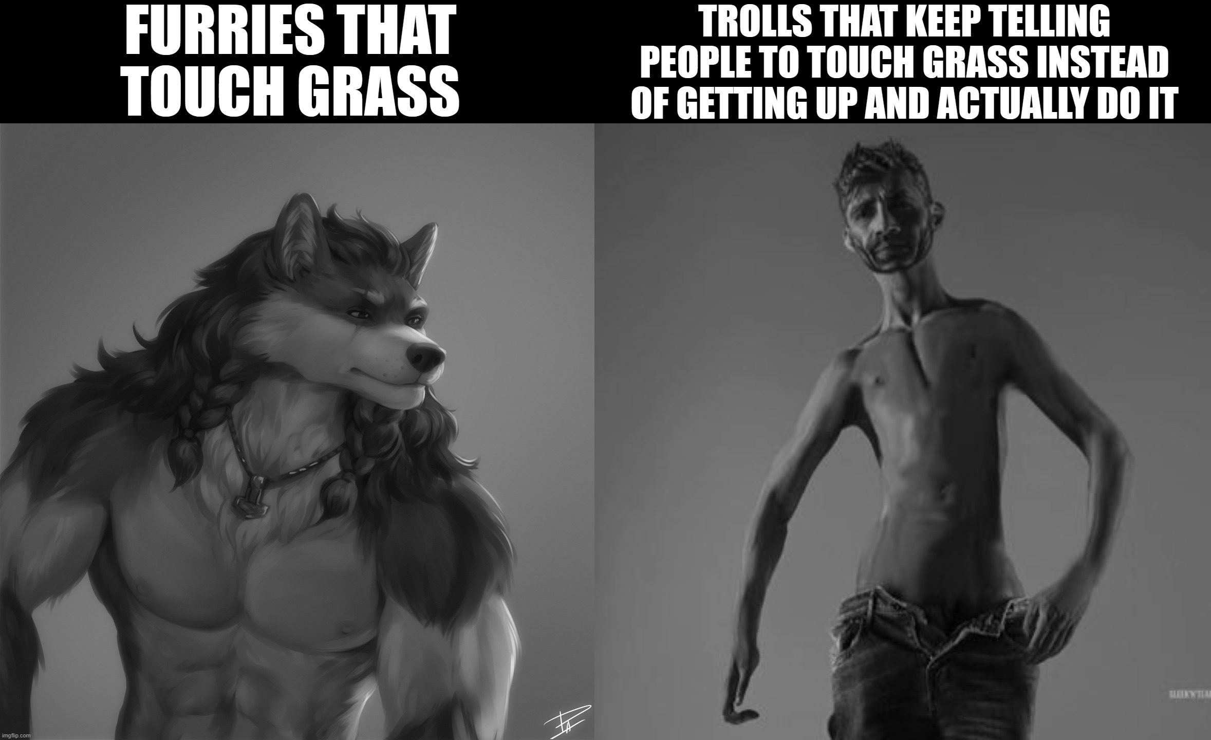 FURRIES THAT TOUCH GRASS; TROLLS THAT KEEP TELLING PEOPLE TO TOUCH GRASS INSTEAD OF GETTING UP AND ACTUALLY DO IT | image tagged in skinny giga chad | made w/ Imgflip meme maker