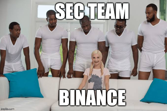 One girl five guys | SEC TEAM; BINANCE | image tagged in one girl five guys | made w/ Imgflip meme maker