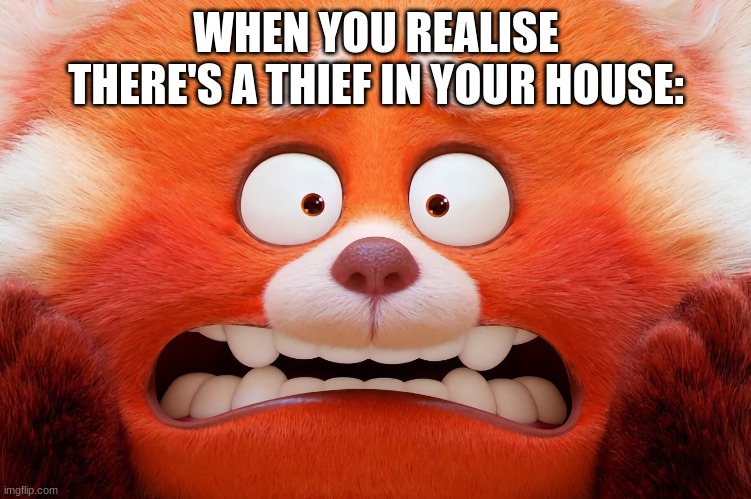 Mei Mei | WHEN YOU REALISE THERE'S A THIEF IN YOUR HOUSE: | image tagged in mei mei,pixar,turning red,thief,house | made w/ Imgflip meme maker