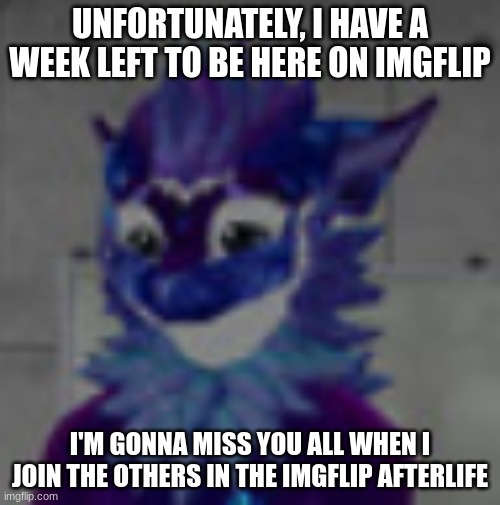 One week left :( | UNFORTUNATELY, I HAVE A WEEK LEFT TO BE HERE ON IMGFLIP; I'M GONNA MISS YOU ALL WHEN I JOIN THE OTHERS IN THE IMGFLIP AFTERLIFE | image tagged in sad nardo,sadness | made w/ Imgflip meme maker