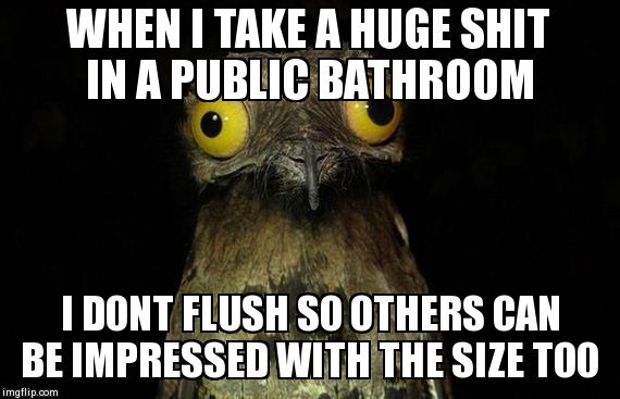 Weird Stuff I Do Potoo Meme | WHEN I TAKE A HUGE SHIT IN A PUBLIC BATHROOM  I DONT FLUSH SO OTHERS CAN BE IMPRESSED WITH THE SIZE TOO | image tagged in memes,weird stuff i do potoo,AdviceAnimals | made w/ Imgflip meme maker