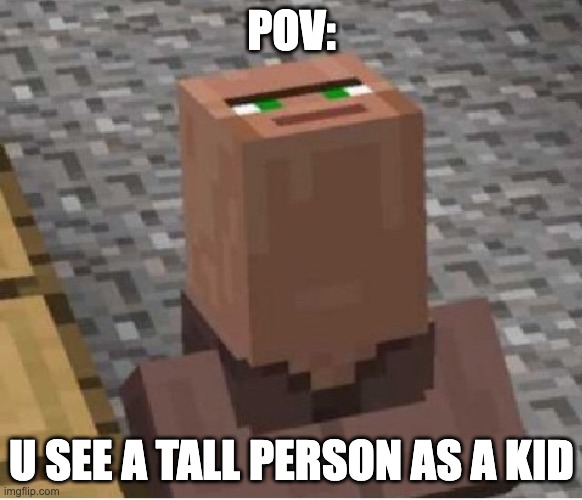 Minecraft Villager Looking Up | POV:; U SEE A TALL PERSON AS A KID | image tagged in minecraft villager looking up | made w/ Imgflip meme maker