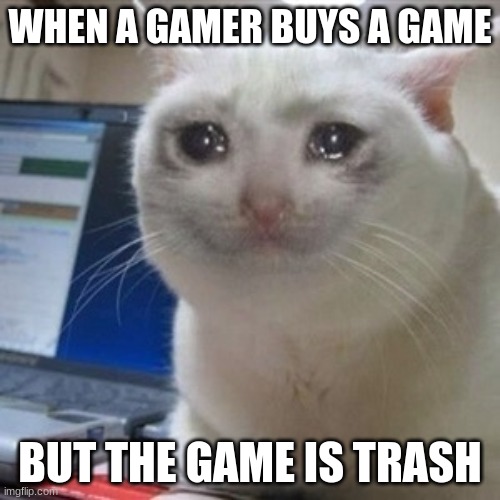every gamer | WHEN A GAMER BUYS A GAME; BUT THE GAME IS TRASH | image tagged in crying cat | made w/ Imgflip meme maker
