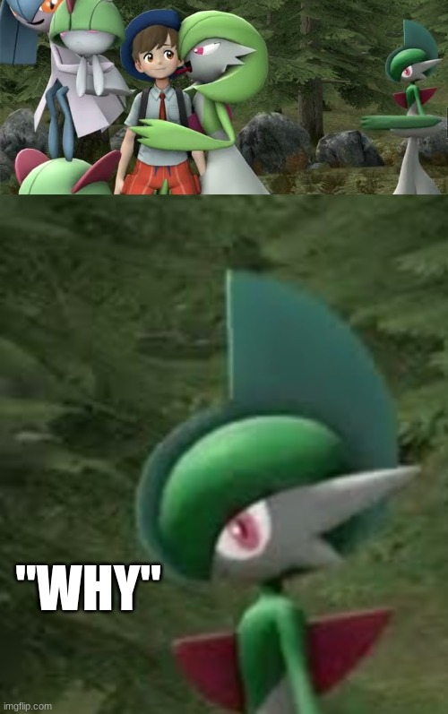 but just why | "WHY" | image tagged in poor gallade he has to see that | made w/ Imgflip meme maker