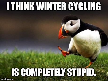 Unpopular Opinion Puffin Meme | I THINK WINTER CYCLING IS COMPLETELY STUPID. | image tagged in memes,unpopular opinion puffin,AdviceAnimals | made w/ Imgflip meme maker