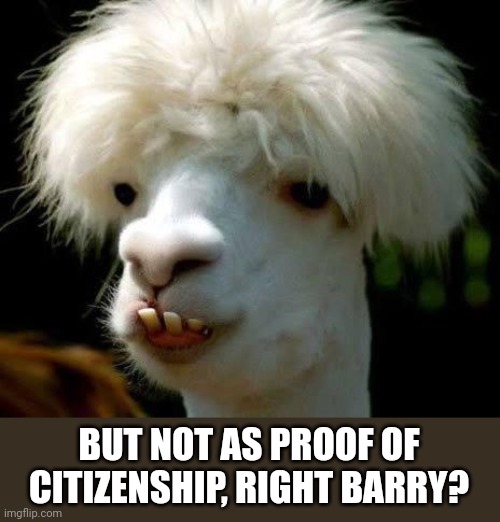 Dumbass | BUT NOT AS PROOF OF CITIZENSHIP, RIGHT BARRY? | image tagged in dumbass | made w/ Imgflip meme maker