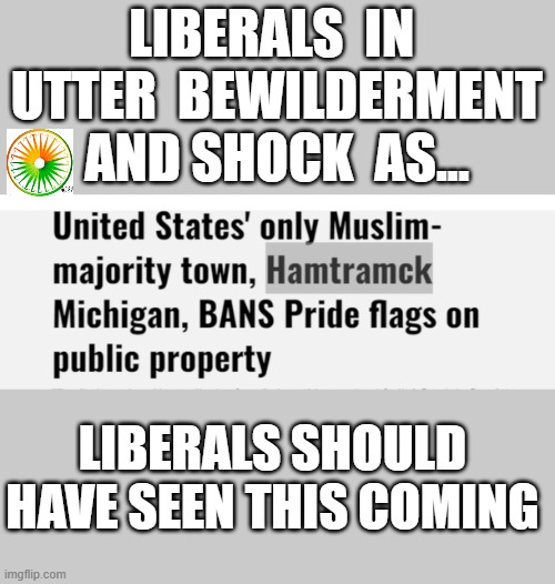 politics | LIBERALS  IN  UTTER  BEWILDERMENT  AND SHOCK  AS... LIBERALS SHOULD HAVE SEEN THIS COMING | image tagged in political meme | made w/ Imgflip meme maker