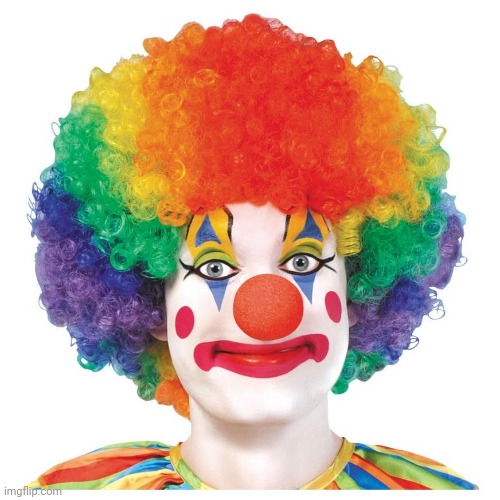 Clown of the year | image tagged in clown of the year | made w/ Imgflip meme maker