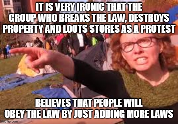 sjw | IT IS VERY IRONIC THAT THE GROUP WHO BREAKS THE LAW, DESTROYS PROPERTY AND LOOTS STORES AS A PROTEST; BELIEVES THAT PEOPLE WILL OBEY THE LAW BY JUST ADDING MORE LAWS | image tagged in sjw | made w/ Imgflip meme maker