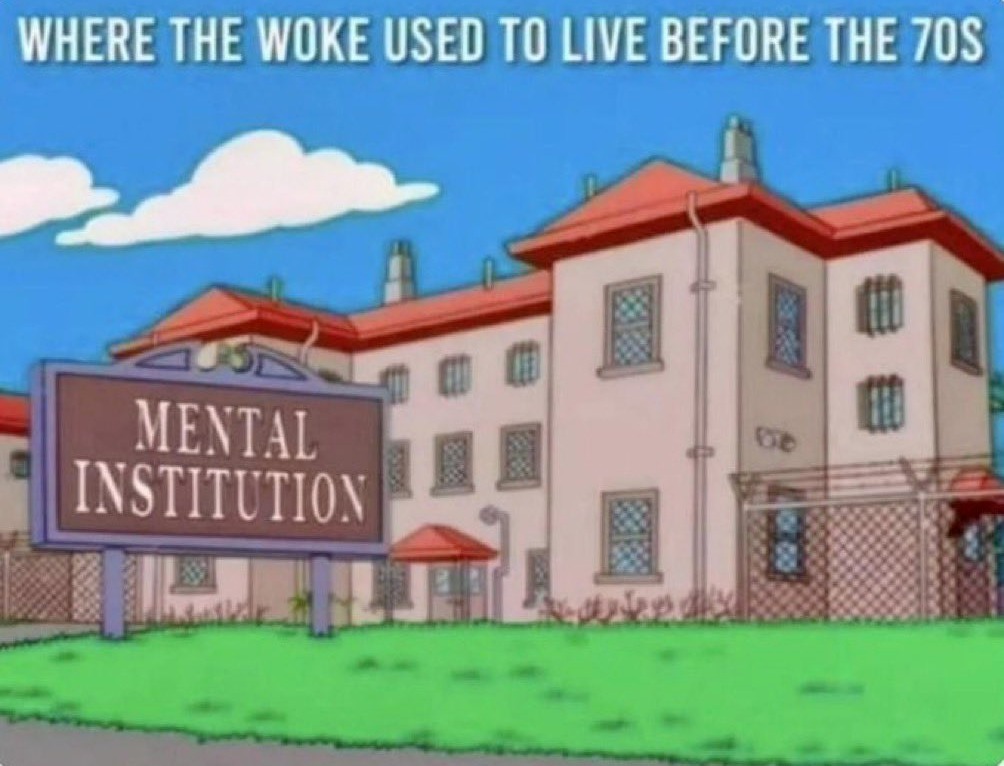Where the Woke Used to Live Before the 1970's. | image tagged in funny farm,woke,mental illness,mental health,insane asylum,they're coming to take me away | made w/ Imgflip meme maker