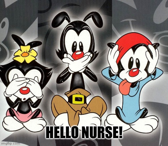 animaniacs | HELLO NURSE! | image tagged in animaniacs | made w/ Imgflip meme maker