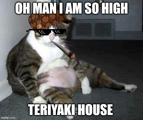 Fat cat | OH MAN I AM SO HIGH; TERIYAKI HOUSE | image tagged in fat cat | made w/ Imgflip meme maker