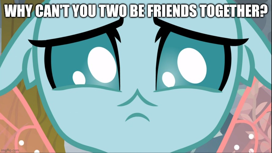 Sad Ocellus (MLP) | WHY CAN'T YOU TWO BE FRIENDS TOGETHER? | image tagged in sad ocellus mlp | made w/ Imgflip meme maker