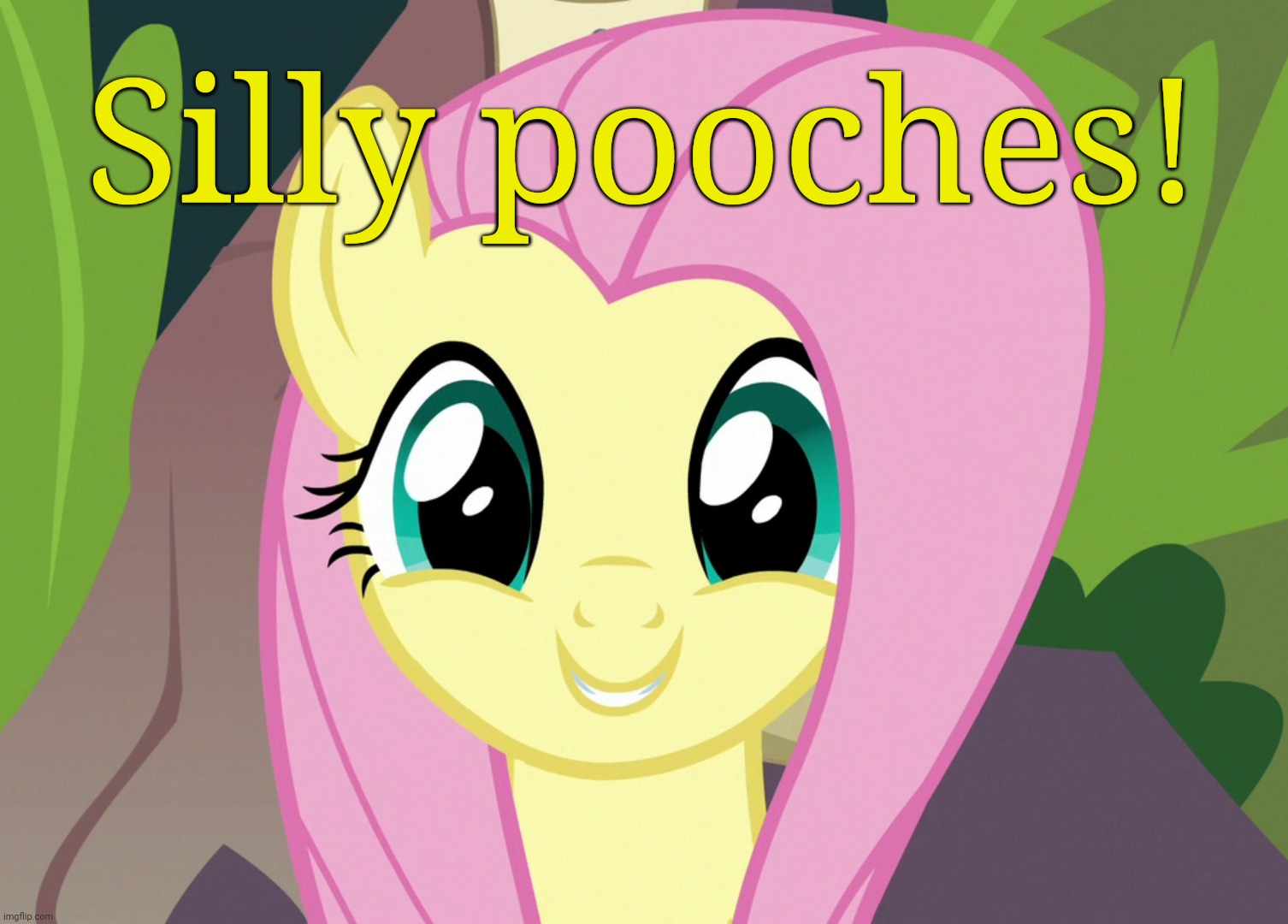 Shyabetes 2 (MLP) | Silly pooches! | image tagged in shyabetes 2 mlp | made w/ Imgflip meme maker