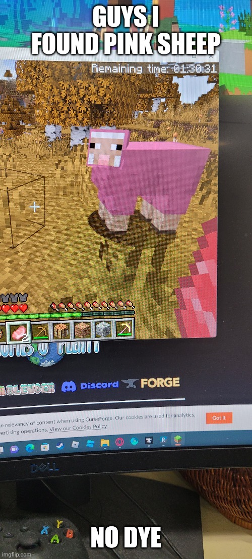 Pink sheep generating naturally!!1!1!1!1!1! | GUYS I FOUND PINK SHEEP; NO DYE | image tagged in why are you reading the tags,stop reading the tags,if you read this tag you are cursed | made w/ Imgflip meme maker