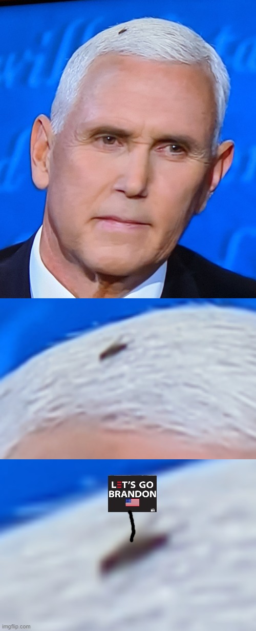 image tagged in mike pence fly | made w/ Imgflip meme maker