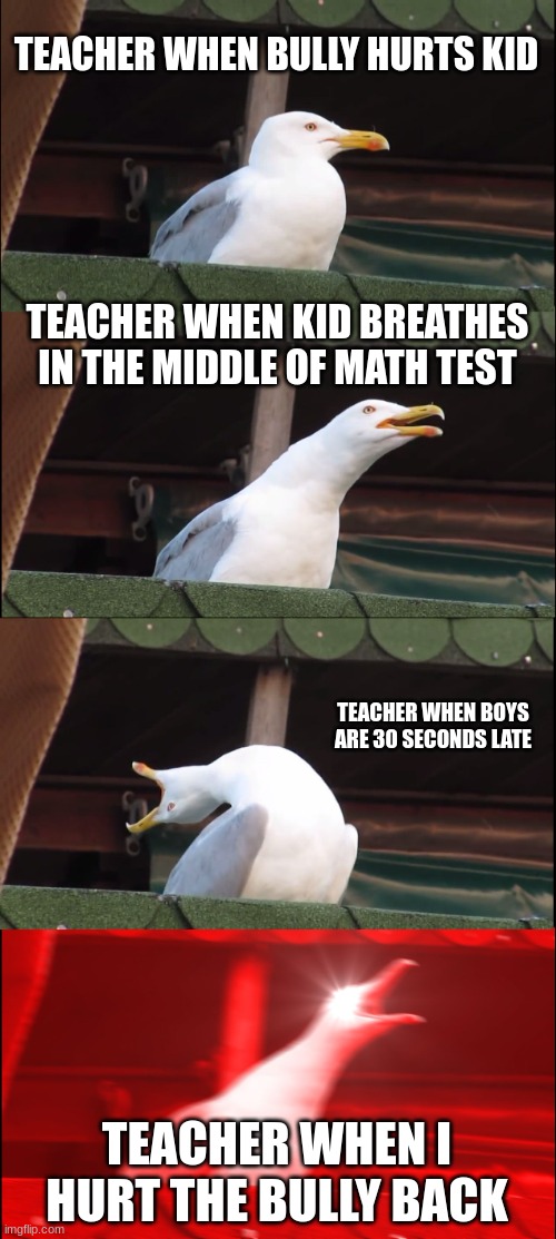 Inhaling Seagull | TEACHER WHEN BULLY HURTS KID; TEACHER WHEN KID BREATHES IN THE MIDDLE OF MATH TEST; TEACHER WHEN BOYS ARE 30 SECONDS LATE; TEACHER WHEN I HURT THE BULLY BACK | image tagged in memes,inhaling seagull | made w/ Imgflip meme maker