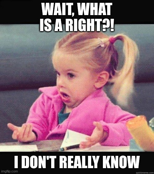 I dont know girl | WAIT, WHAT IS A RIGHT?! I DON'T REALLY KNOW | image tagged in i dont know girl | made w/ Imgflip meme maker