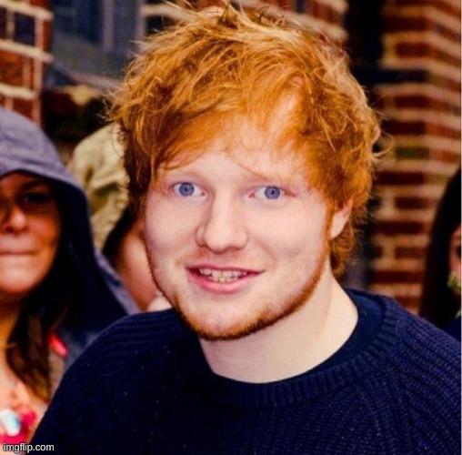 Ed Sheeran | image tagged in ed sheeran | made w/ Imgflip meme maker