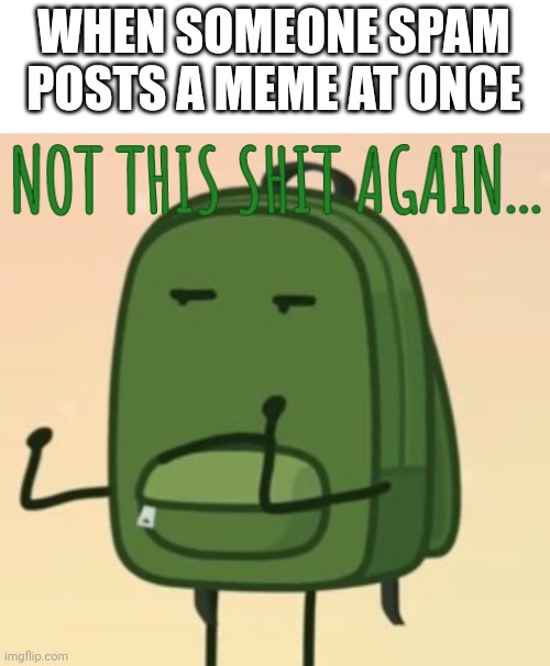 Meh | WHEN SOMEONE SPAM POSTS A MEME AT ONCE | image tagged in not this shit again | made w/ Imgflip meme maker
