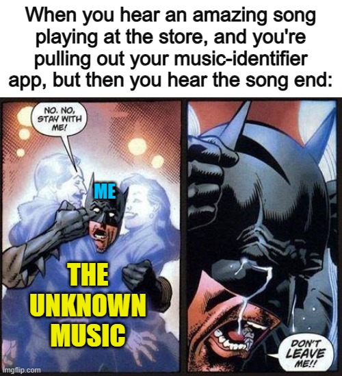 I never thought I'd be using this template :] | When you hear an amazing song playing at the store, and you're pulling out your music-identifier app, but then you hear the song end:; ME; THE UNKNOWN MUSIC | image tagged in batman don't leave me | made w/ Imgflip meme maker