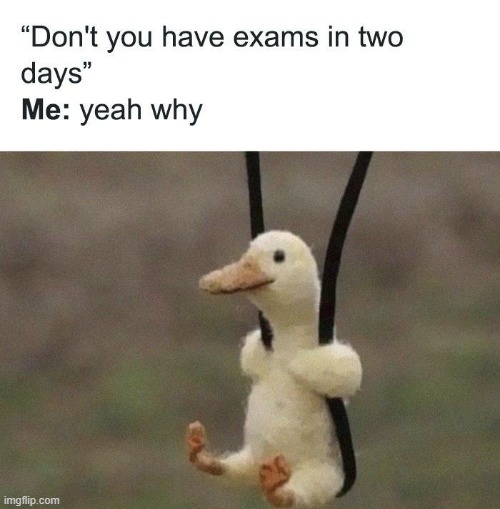 That duck is freaking adorable btw ^-^ | made w/ Imgflip meme maker