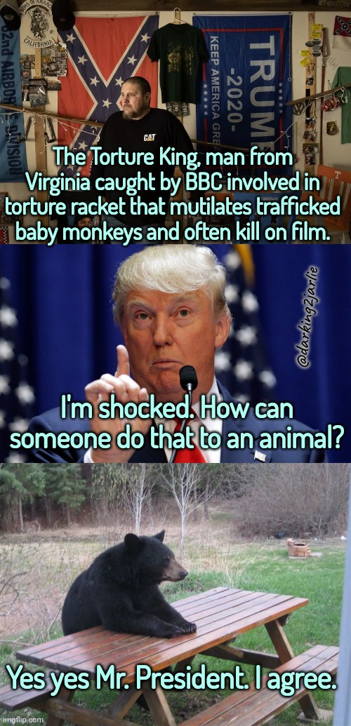 Patient Bear | The Torture King, man from Virginia caught by BBC involved in torture racket that mutilates trafficked baby monkeys and often kill on film. @darking2jarlie; I'm shocked. How can someone do that to an animal? Yes yes Mr. President. I agree. | image tagged in america,indonesia,trump,animals,monkeys,confederate | made w/ Imgflip meme maker