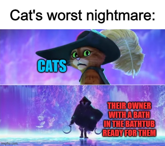 Poor cats :( they can clean themselves up with their tongue :/ | Cat's worst nightmare:; CATS; THEIR OWNER WITH A BATH IN THE BATHTUB READY FOR THEM | image tagged in puss and boots scared | made w/ Imgflip meme maker