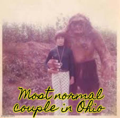 Most normal couple in Ohio | made w/ Imgflip meme maker