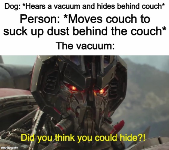 Uh oh 0-0 | Person: *Moves couch to suck up dust behind the couch*; Dog: *Hears a vacuum and hides behind couch*; The vacuum: | image tagged in did you think you could hide | made w/ Imgflip meme maker