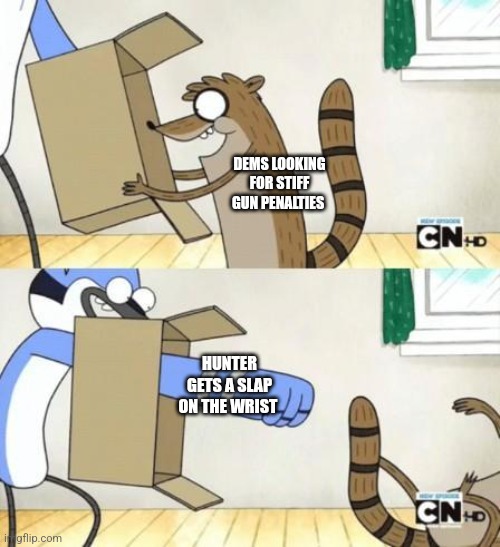 Mordecai Punches Rigby Through a Box | DEMS LOOKING FOR STIFF GUN PENALTIES; HUNTER GETS A SLAP ON THE WRIST | image tagged in mordecai punches rigby through a box | made w/ Imgflip meme maker