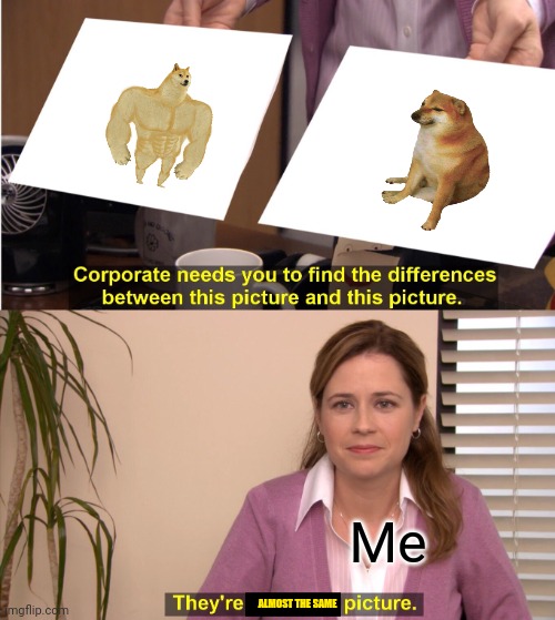 They're the same picture | Me; ALMOST THE SAME | image tagged in memes,they're the same picture | made w/ Imgflip meme maker