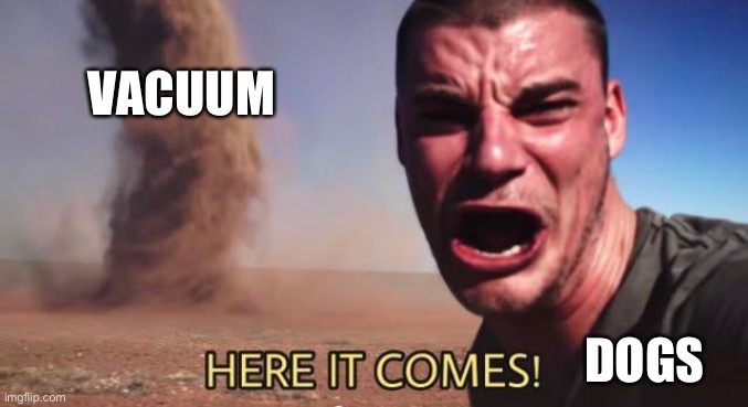 HERE IT COMES! | VACUUM DOGS | image tagged in here it comes | made w/ Imgflip meme maker