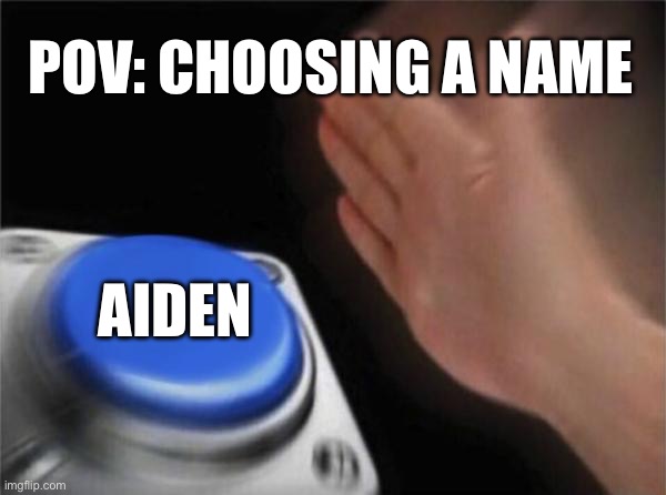 Upvote if your name is Aiden | POV: CHOOSING A NAME; AIDEN | image tagged in memes,blank nut button | made w/ Imgflip meme maker