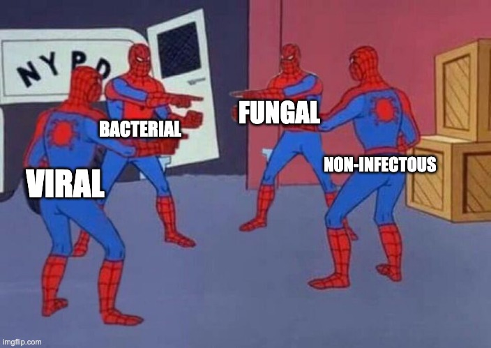 4 Spiderman pointing at each other | FUNGAL; BACTERIAL; NON-INFECTOUS; VIRAL | image tagged in 4 spiderman pointing at each other | made w/ Imgflip meme maker